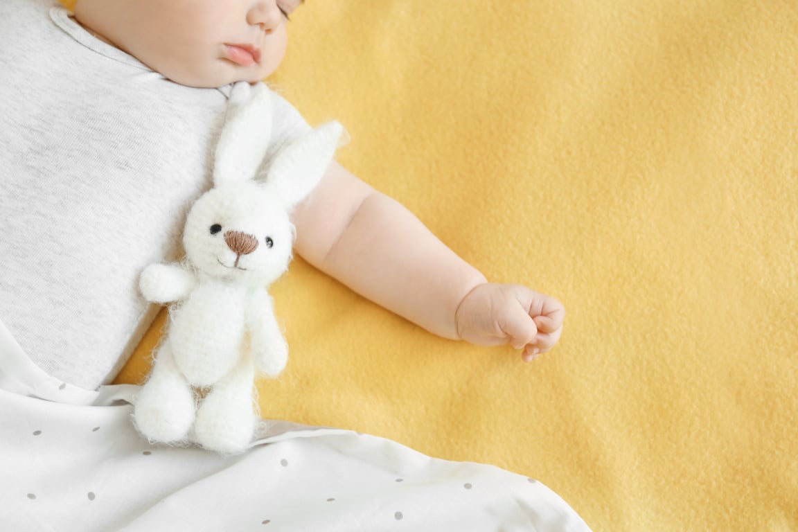 A Baby Sleeping with a Stuffed Toy and Blanket